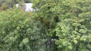 Ukrayna 'nın Vinnitsa kentindeki bir dönme dolaptan, parkın renkli sepetlerindeki uzun demir çark manzaralı yeşil ağaçlara ait bir video çekiyorum. Yağmurlu gökyüzü
