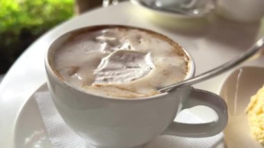 VIENNA AUSTRIA orijinal bir Sacher kekinin, kremalı bir fincan kahve, bir bardak su, içinde Sachertorte, tipik bir Viyana kahve evi turizmi..