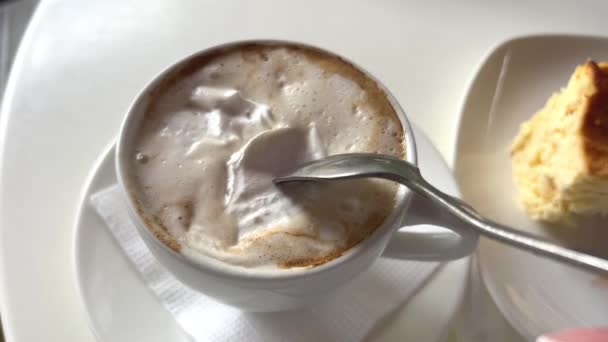 Viyana Avusturya Viyana Spesiyalitesinin Yavaş Çekim Görüntüleri Kremalı Kahve Kaşıklı — Stok video