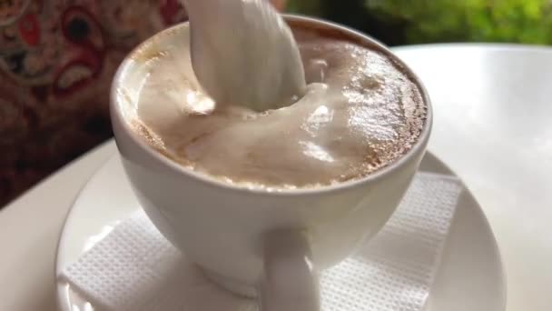 Βιέννη Αυστρία Ωραίο Βίντεο Αργής Κίνησης Μιας Βιεννέζικης Ειδικότητας Καφές — Αρχείο Βίντεο