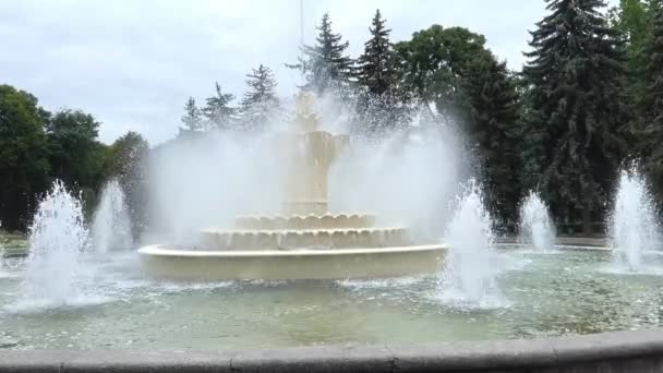 Fuente Parque Central Ciudad Vinnitsa Ucrania Tiempo Lluvioso Grandes Árboles — Vídeos de Stock