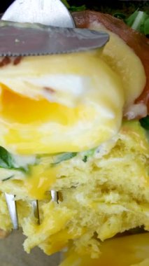 Ekmek tostu, haşlanmış yumurta, avokado hamuru, bezelye mikroçerezi ve kafede taze sebzeler. Kapatın, sırayla, kahvaltı zamanı. Yüksek kalite 4k görüntü