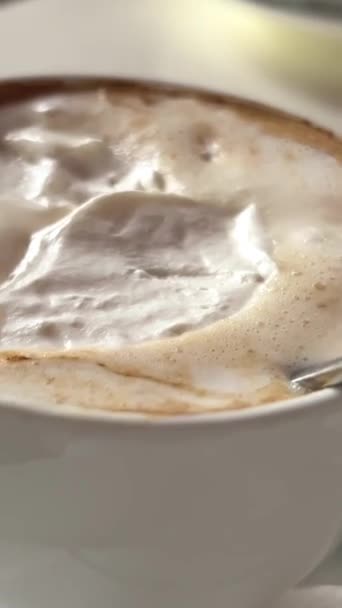 Vienna Austria Close Pan Shot Original Sacher Cake Whipped Cream — стоковое видео