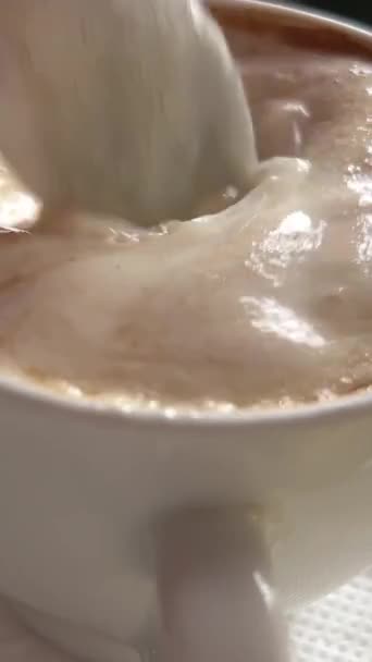 Vienna Austria Nice Slow Motion Footage Viennese Specialty Coffee Cream — Stock Video