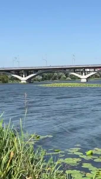 Vinnitsa Vista Del Terraplén Kiev Puente Iglesia Cañas Verdes Agua — Vídeos de Stock