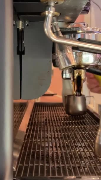 Pembe Elbiseli Iki Kız Kahve Makineli Balonlu Çay Hazırlıyor Doğu — Stok video