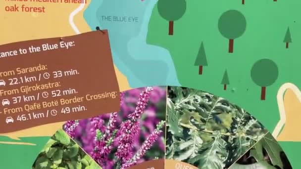 Niebieskie Oko Syri Kalter Mountain Spring Kąpiel Lato Wakacje Niebieskie — Wideo stockowe