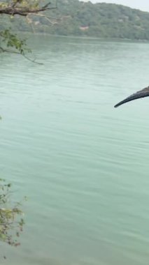 Butrint, Sarande İlçesi Arnavutluk Sinematik Roma Baptisterisi, Antik UNESCO Dünya Mirasları Merkezi 4K. Eski bir Buthrotum kasabasının kalıntıları. Arnavutluk, Butrint 09.09.2023