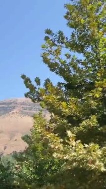 Albania Saranda by stritsa nehri, temiz su, mavi göz gezisi, UNESCO yaz seyahatlerinde listelenen gezi yerleri. Nehirde şeffaf içme suyu