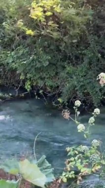Albania Saranda by stritsa nehri, temiz su, mavi göz gezisi, UNESCO yaz seyahatlerinde listelenen gezi yerleri. Nehirde şeffaf içme suyu