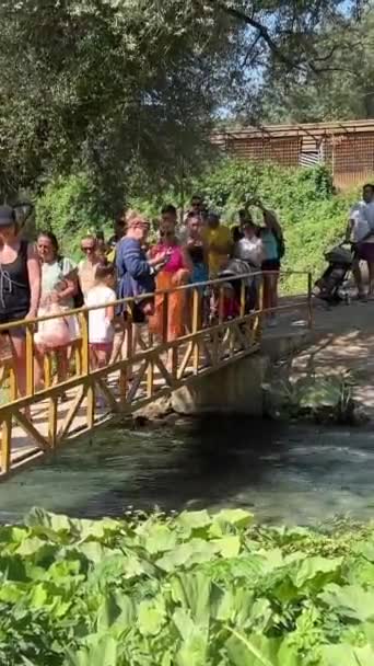 Албанские Туристы Знаменитого Списка Юнеско Blue Eye Люди Ходят Мосту — стоковое видео