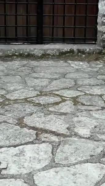 Butrint Distrikt Sarande Albanien Filmreifes Römisches Baptisterium Antike Historische Stätte — Stockvideo