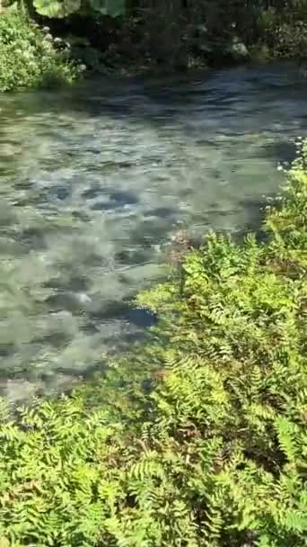 Sightseeing Albanien Saranda Bystritsa Fluss Klares Wasser Blaues Auge Sightseeing — Stockvideo