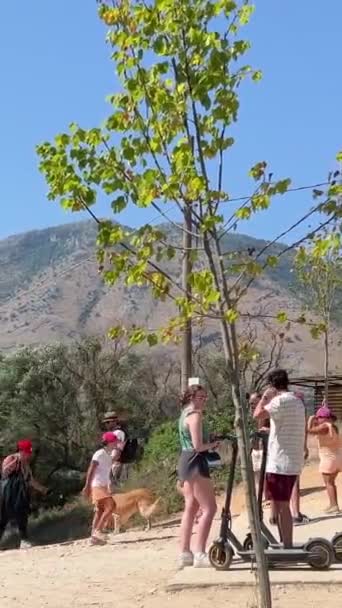 蓝眼羊驼著名的旅游胜地进入羊驼蓝眼人们走过时 看着漂浮在清澈的水面上的夏季地图欢迎自然的到来阿尔巴尼亚Saranda 2808 2023 — 图库视频影像