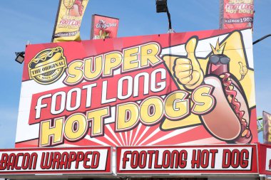 Lunaparkta salıncakta sallanan atlıkarıncaya binen insanlar atlıkarıncaların ilk halleridir. Antik Bizans 'ta vardı ve halat ve sepetlerle yapılmıştı Playland PNE Canada 09.09.2023