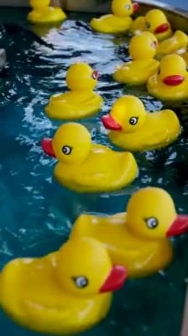 Lunaparkta salıncakta sallanan atlıkarıncaya binen insanlar atlıkarıncaların ilk halleridir. Antik Bizans 'ta vardı ve halat ve sepetlerle yapılmıştı Playland PNE Canada 09.09.2023