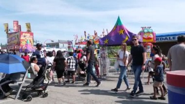 Lunaparkta salıncakta sallanan atlıkarıncaya binen insanlar atlıkarıncaların ilk halleridir. Antik Bizans 'ta vardı ve halat ve sepetlerle yapılmıştı Playland PNE Canada 09.09.2023