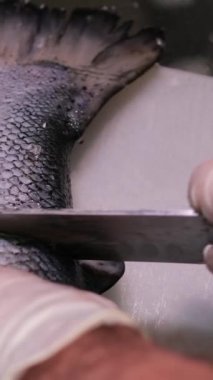 Çiğ somon filetosuna tuz ve baharat serpiyorum. Ağır çekim. Tuzlu kırmızı balık. Baharatlı somon bifteği. Aşçı pişirmeden önce çiğ somon bifteğine baharat ekliyor. Çiğ somon filetosu veya kırmızı balık bifteği..