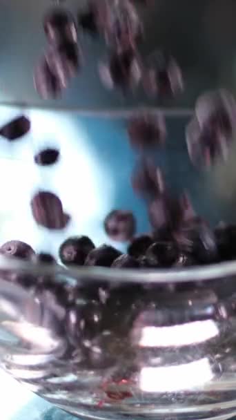 Frische Blaubeeren Corymbosum Einer Weißen Schüssel Auf Weiß Hochwertiges Foto — Stockvideo