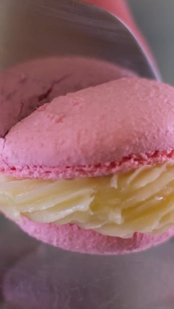 Side View Woman Hands Cutting Colorful Macaroon Halves Using Knife — Stock Video