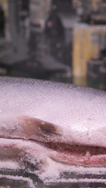 赤い魚のサーモンを塩で覆うことから魚を皮をむき しばらくの間おいしい健康食品の自然な魚介類の男性の手を閉じるためにそれを残します クリーンフィッシュ — ストック動画