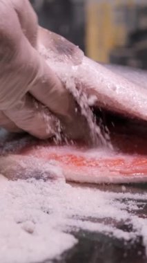 Tuzlu ve şekerli kırmızı balık serpiştiren tuzlu balıklar. Eldiven giyen adam hafif tuzlu balık pişiriyor.