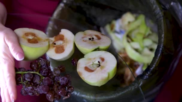 포도와 상단에 아름다운 망가진 과일은 오래된 수없는 클로즈업 쓰레기에 물통에 — 비디오