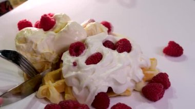 Elektrikli waffle demiriyle lezzetli waffle hazırlama süreci yumurtanın malzemelerini yeniliyor. Un, şekere yakın yemek tarifi ekliyor. Ahududulu kahvaltı bir dizi video dekore eder.