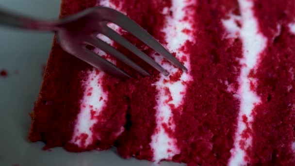 美味的蛋糕红色天鹅绒白色乳酪红色多孔蛋糕层与叉子压碎甜点特写 美味蛋糕和烹调烹饪的各层蛋糕展示了面团的研究结构 — 图库视频影像