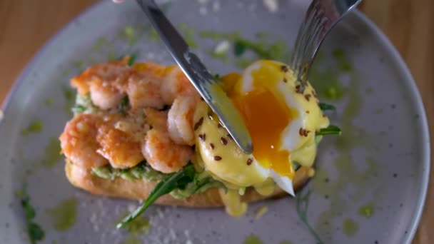 Πρωινό Νόστιμο Τοστ Αβοκάντο Και Αυγά Benedict Νόστιμο Ψωμί Γαρίδες — Αρχείο Βίντεο