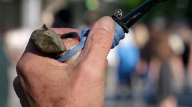 Dışarıda ot içen genç adam pipo kullanıyor. Ganja 'dan dolayı rahatlama. Marihuana Kültürü Yavaş Hareket. Büyük Yakından Bakış. Dinamik Çekim