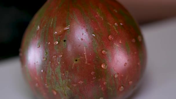 Närbild Black Prince Tomater Vegetabiliska Bakgrund Högst Upp Suddig Början — Stockvideo