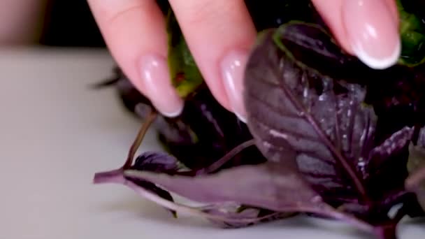 Der Koch Gießt Gehackten Spinat Vom Schneidbrett Die Glasschüssel Macht — Stockvideo