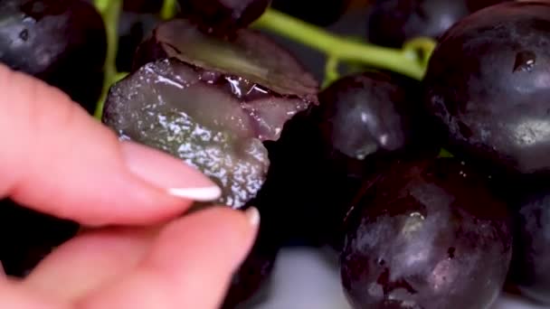 雨の後のブルーブドウの果実のクローズアップ マクロショット フランスのマニキュアで手を壊す大きなブドウの果実を開く — ストック動画