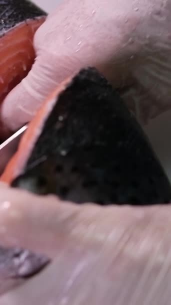 Posypeme Solí Kořením Syrový Filé Lososa Zpomal Solení Červených Ryb — Stock video