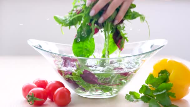 Woman Chef Striped Apron Tearing Freshly Washed Fresh Clean Leaves — Video Stock
