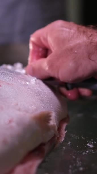 Salatura Pesce Cospargere Salmone Pesce Rosso Con Sale Zucchero Uomo — Video Stock