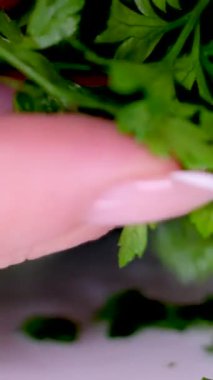 Parlak beyaz arka planda izole edilmiş maydanoz yaprakları, dolly shot. Yüksek kalite 4k görüntü