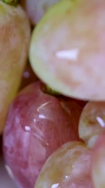 Süpermarketteki Bir Kutuda Bir Sürü Üzüm Pembe Üzümler Yakın Plan — Stok video