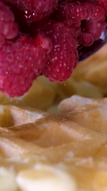 用电动华夫饼铁打配料鸡蛋面粉加糖特写烹调制作甜美味华夫饼的垂直视频制作配方 早餐与覆盆子装饰一套视频 — 图库视频影像