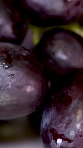 매크로 포도의 열매의 클로즈업 포도의 열매를 프랑스 매니큐어와 여자의 — 비디오