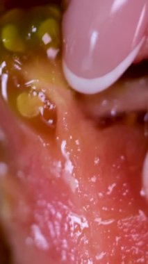 Kara Prens 'in domates sebze arka planını kapatın. Üst Manzara. Başlangıçta bulanıklık sonda yoğunlaşır. Kendi bahçesinden domatesler, hasat. Yüksek kalite 4k görüntü