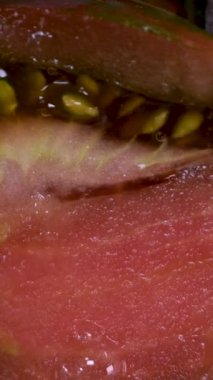 Kara Prens 'in domates sebze arka planını kapatın. Üst Manzara. Başlangıçta bulanıklık sonda yoğunlaşır. Kendi bahçesinden domatesler, hasat. Yüksek kalite 4k görüntü