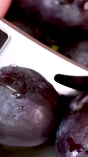 雨水后的蓝葡萄特写 宏观拍摄 女人的手和法式指甲一起打开了大葡萄的浆果 — 图库视频影像