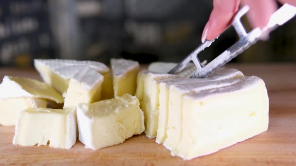 クルミミはステレオ カマンベール ブリーチーズの新鮮な健康的な食事のスナックダイエットをテーブルの上に スペースフードの背景素朴なコピー — ストック動画