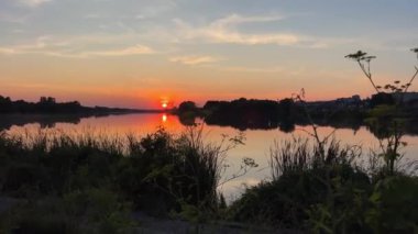 Gölün kıyısında sazlıklar ve günbatımı manzarası. Yüksek kalite 4k görüntü