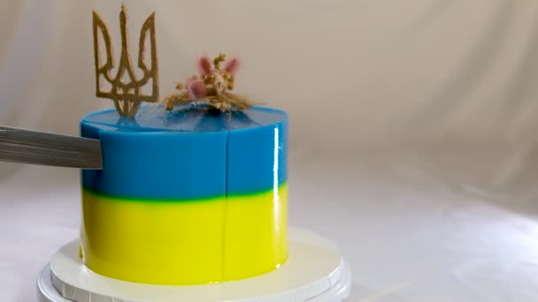 美味的海绵蛋糕 配上黄色和蓝色的麦穗和乌克兰三叉戟烹调理念的完整的乌克兰爱国观念 爱国主义 — 图库视频影像