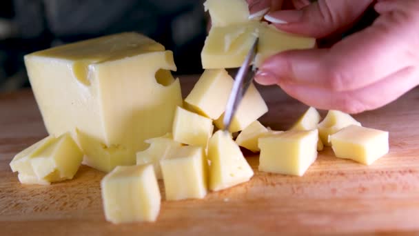Cutting Cheese Very Accurately Gently Perfect Way Cutting Cheese High — Stock Video
