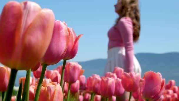 Mujer Feliz Campo Floreciente Tulipanes Foto Alta Calidad — Vídeos de Stock