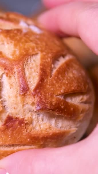 Piękny Rysunek Świeżo Upieczonego Chleba Bułkowego Rękach Kobiety Bliska Trzymającej — Wideo stockowe